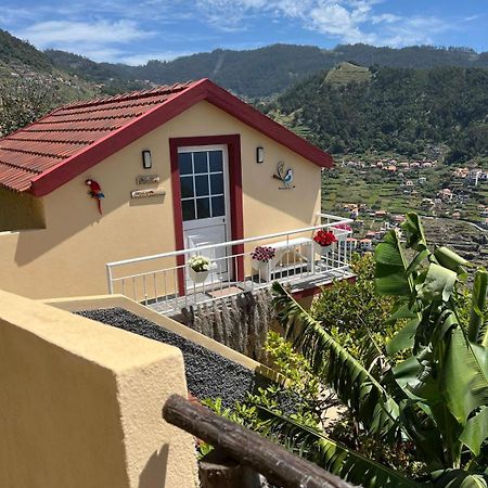 Villa Tropical House Ribeira Brava Exterior foto