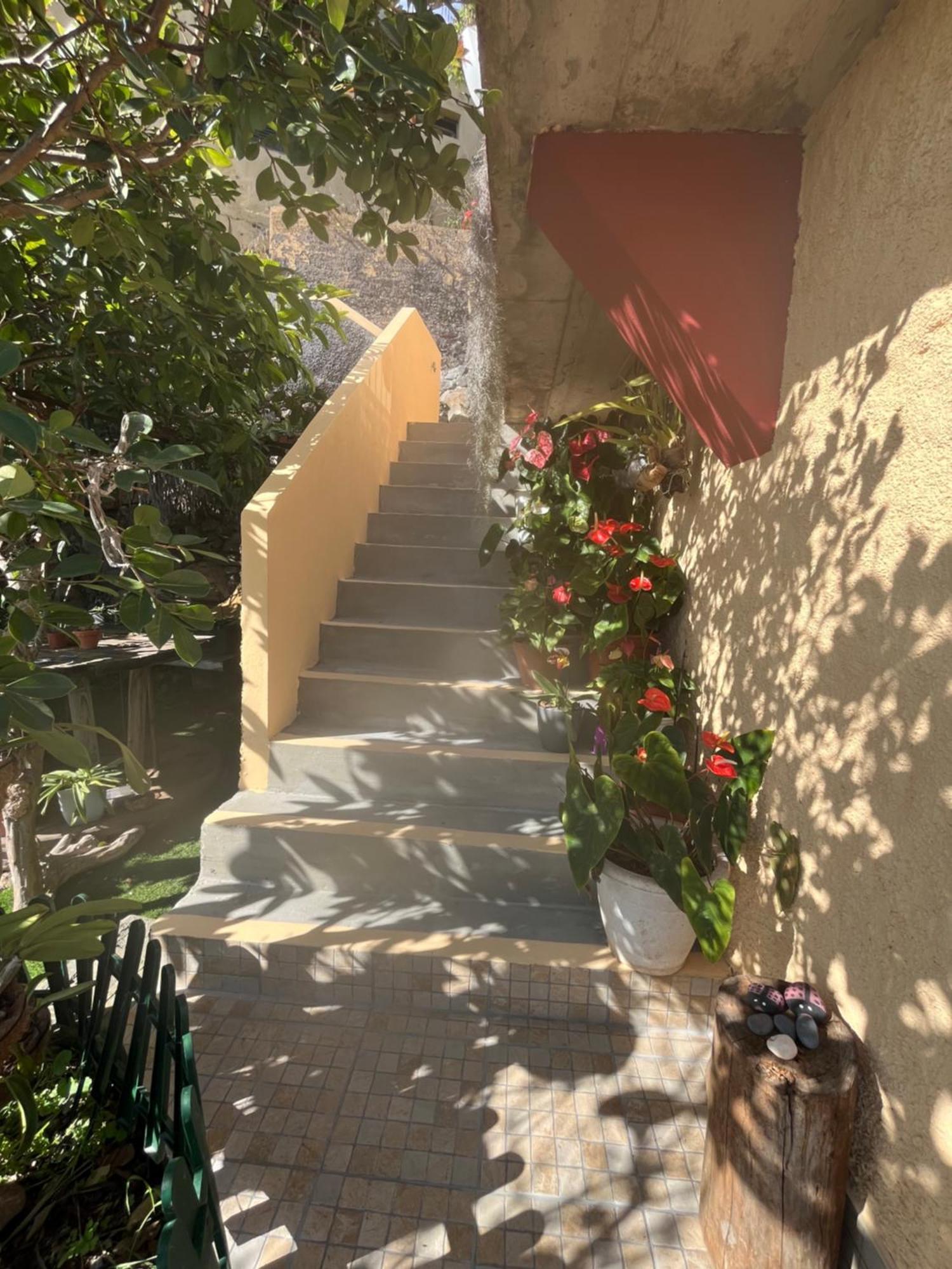 Villa Tropical House Ribeira Brava Exterior foto