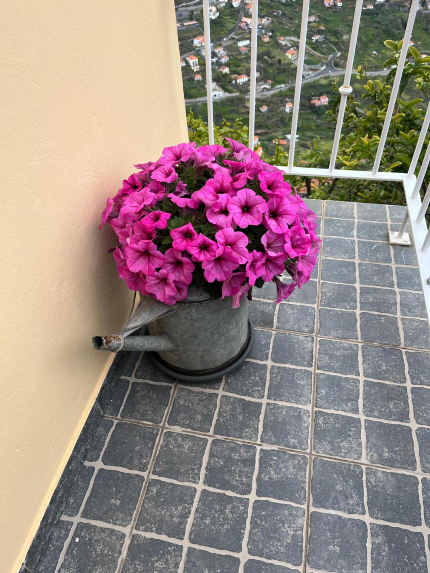 Villa Tropical House Ribeira Brava Exterior foto